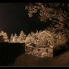 IMG_0165